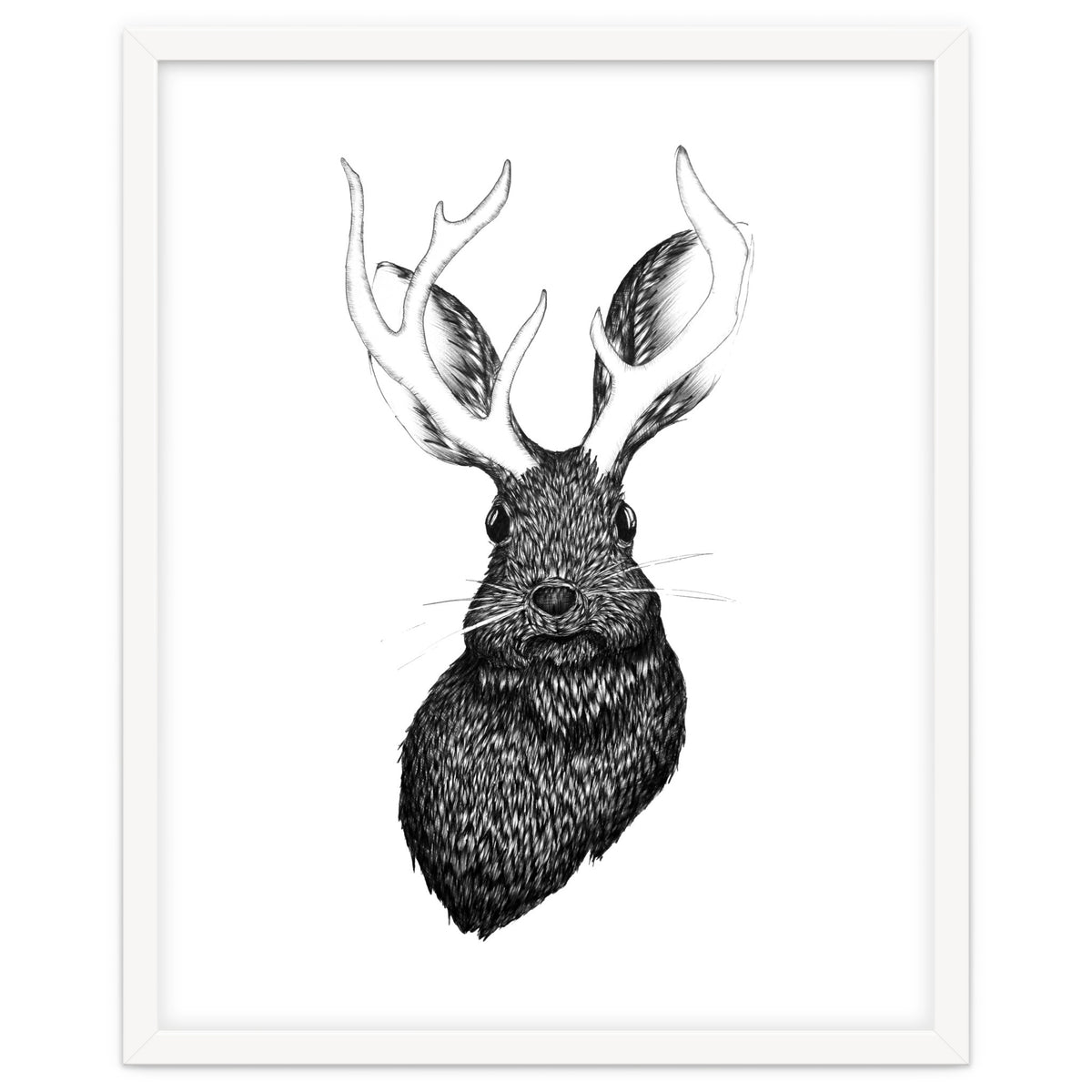Jackalope
