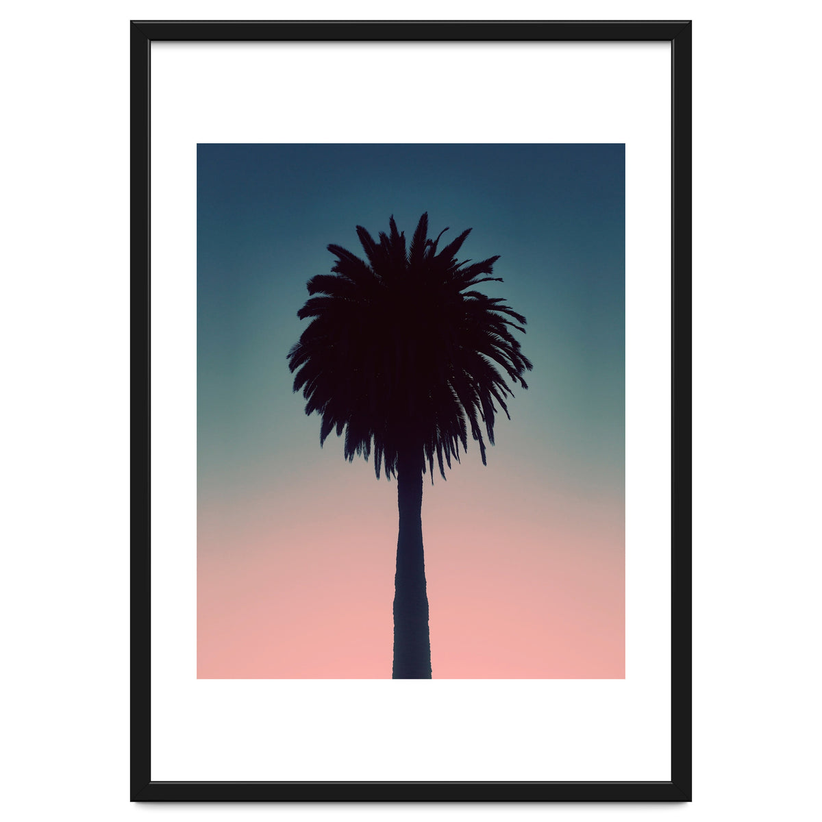 Sundown Palm