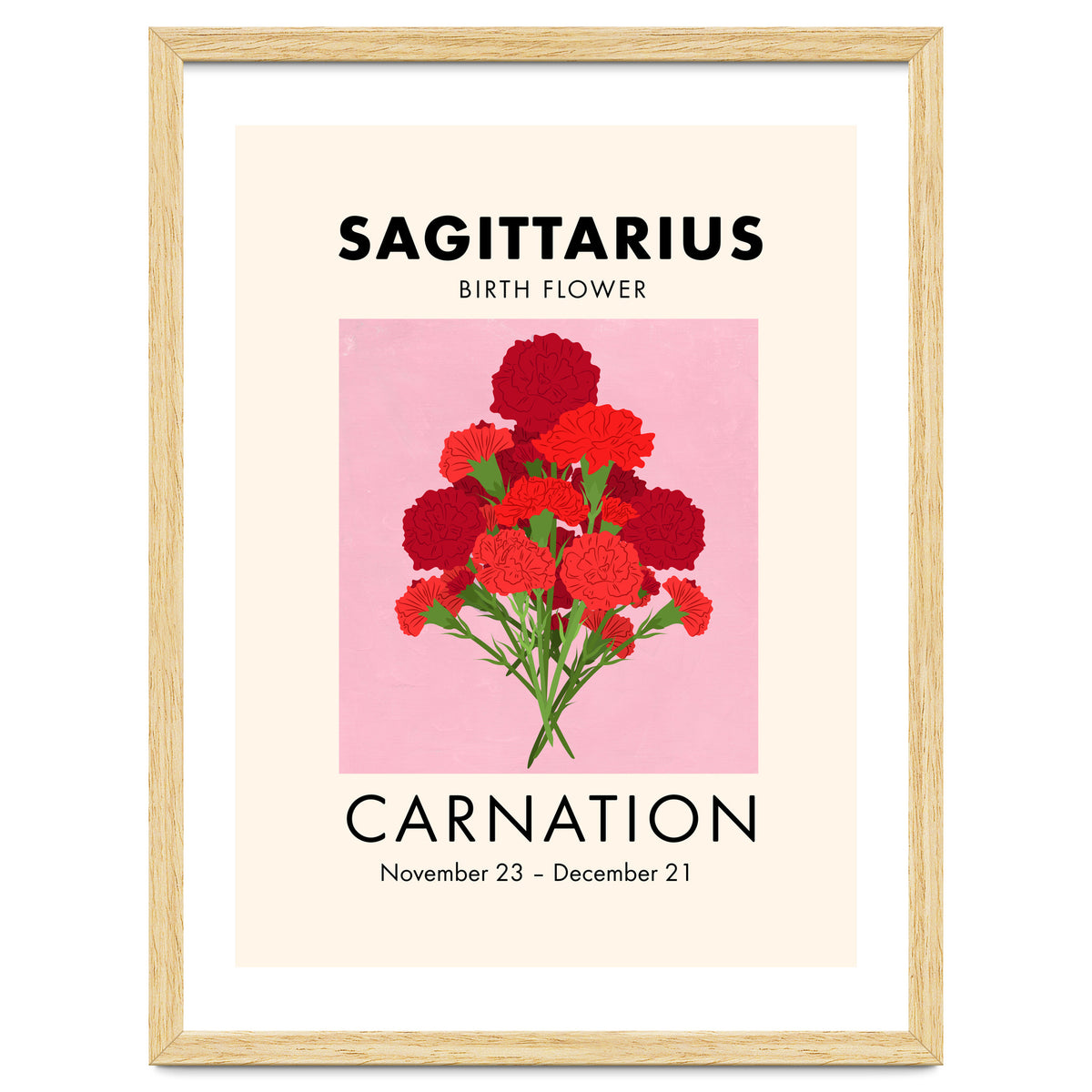 Sagittarius Birth Flower Carnation