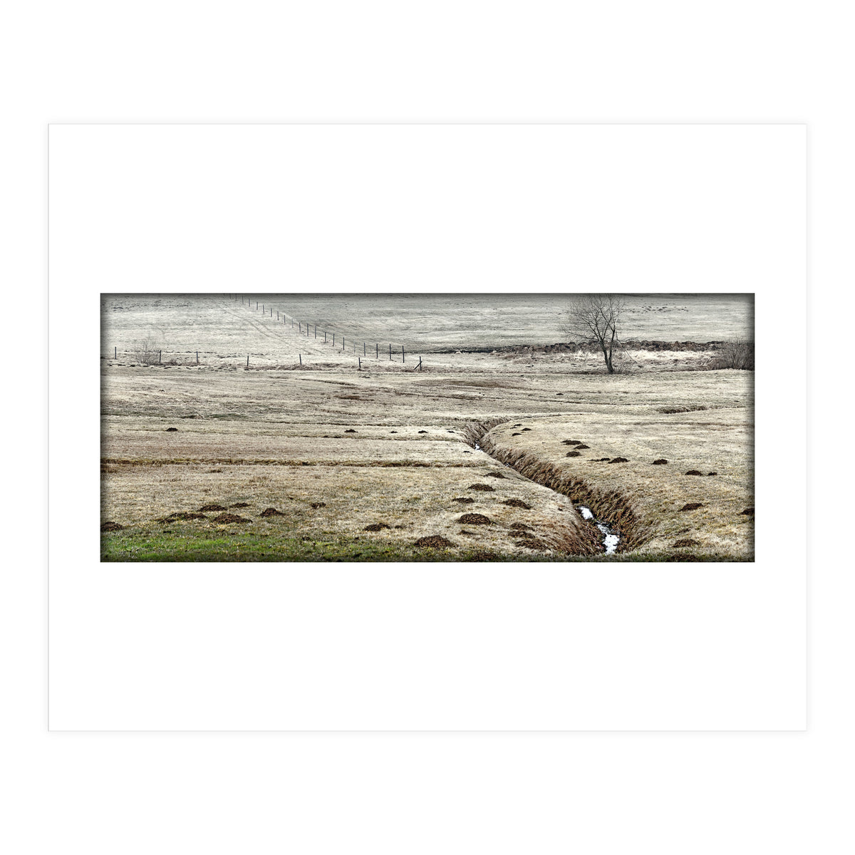 Wet meadows (Print Only)