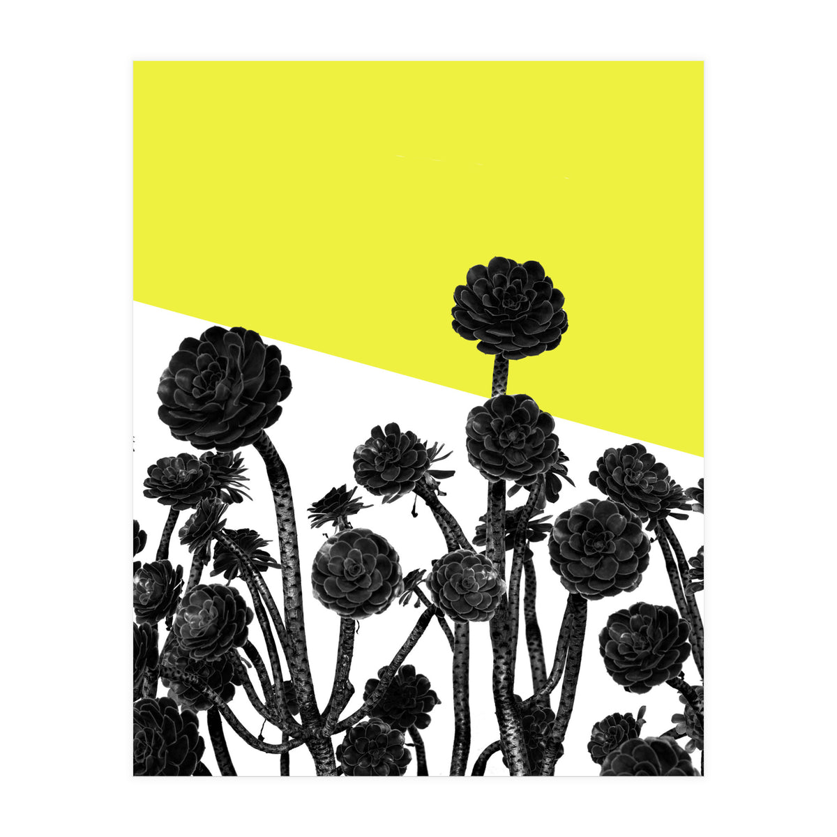 Flowers yellow (Print Only)
