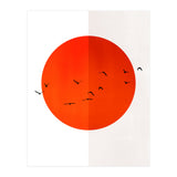 Seagulls Of The Sun (Print Only) thumbnail