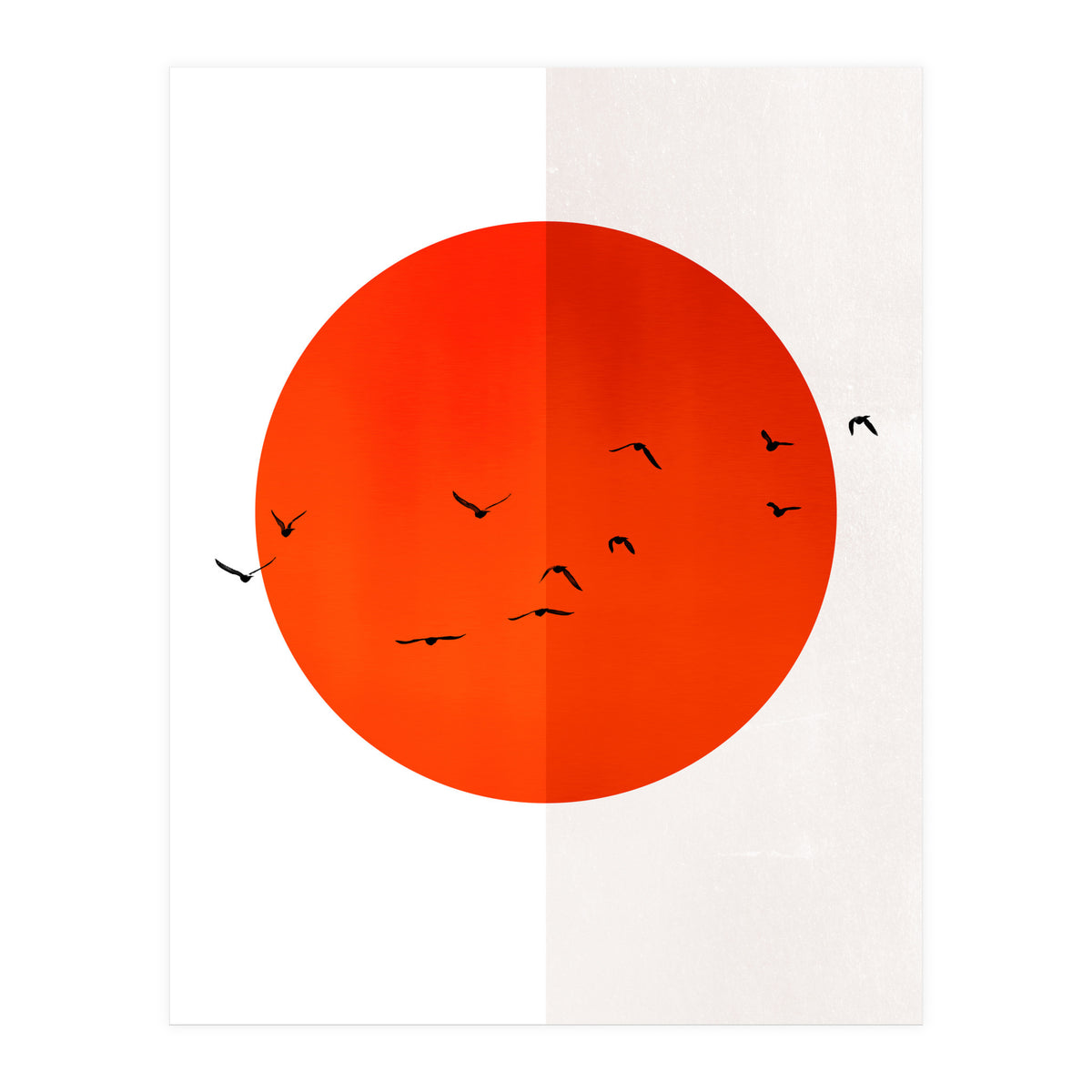 Seagulls Of The Sun (Print Only)