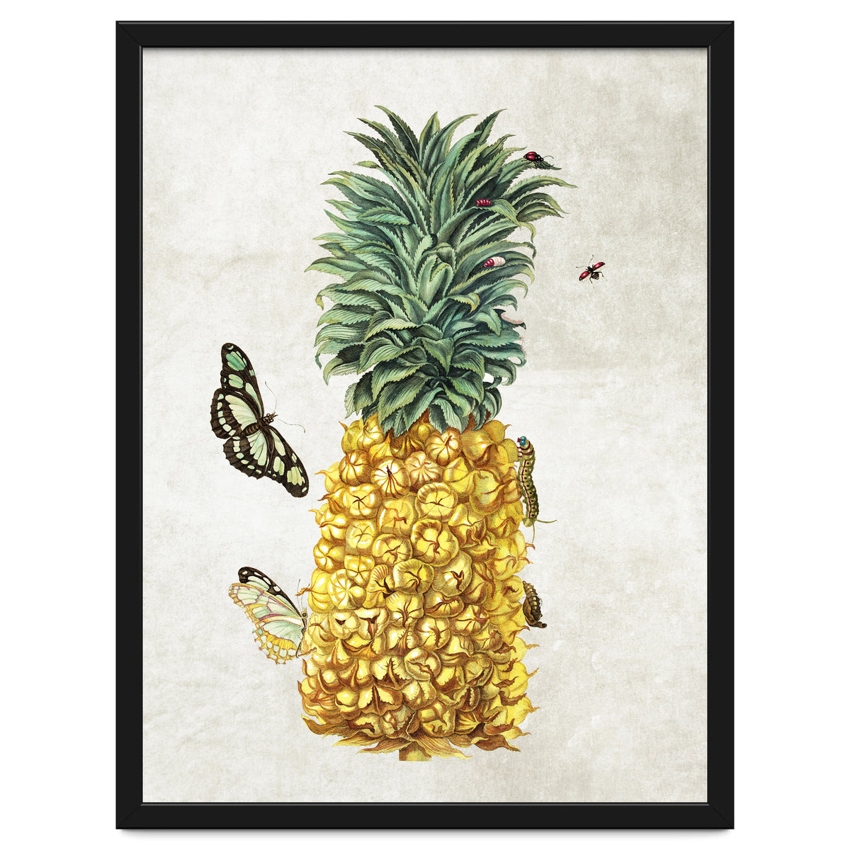 ananas