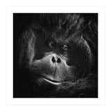 Reasoning (Print Only) thumbnail