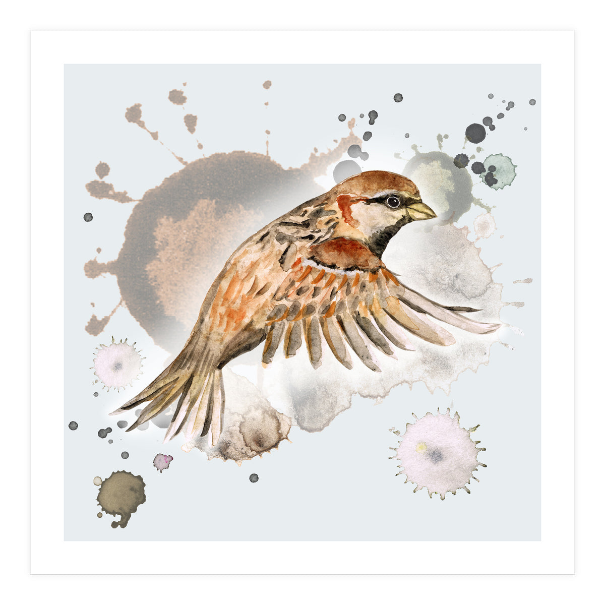 Flying sparrow (Print Only)