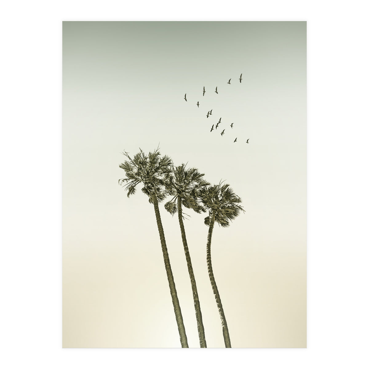 Vintage palm trees at sunset (Print Only)