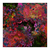 Blooms  (Print Only) thumbnail