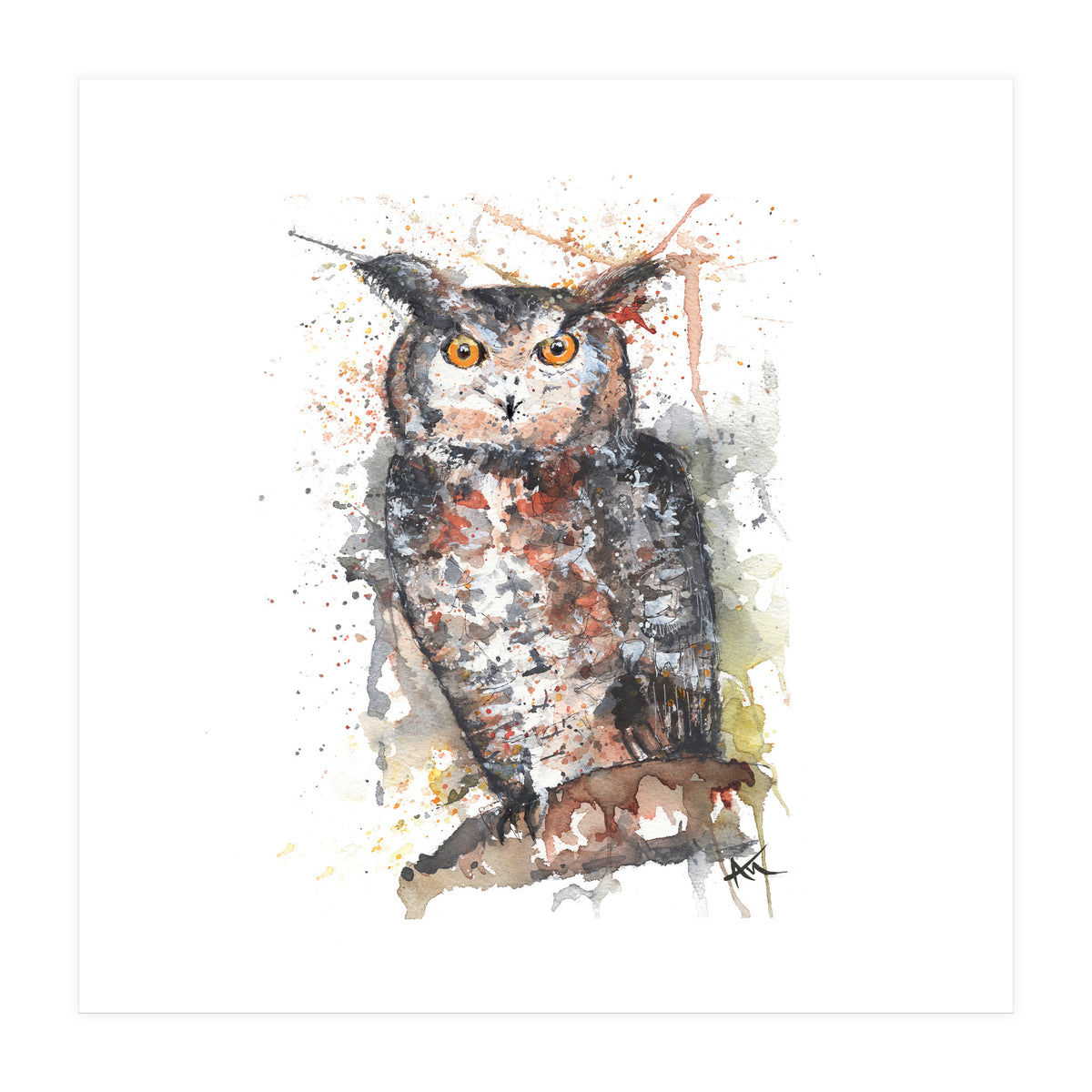 Owl - Wildlife Collection (Print Only)