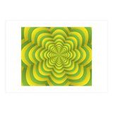 Petals (Print Only) thumbnail