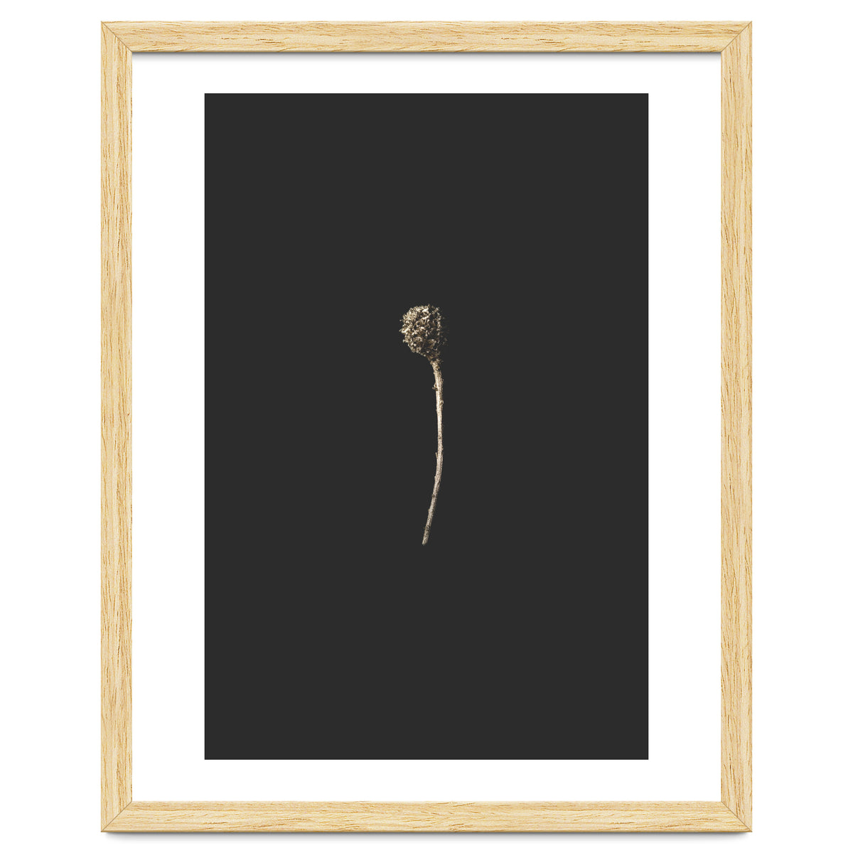 Simple Golden Botanical