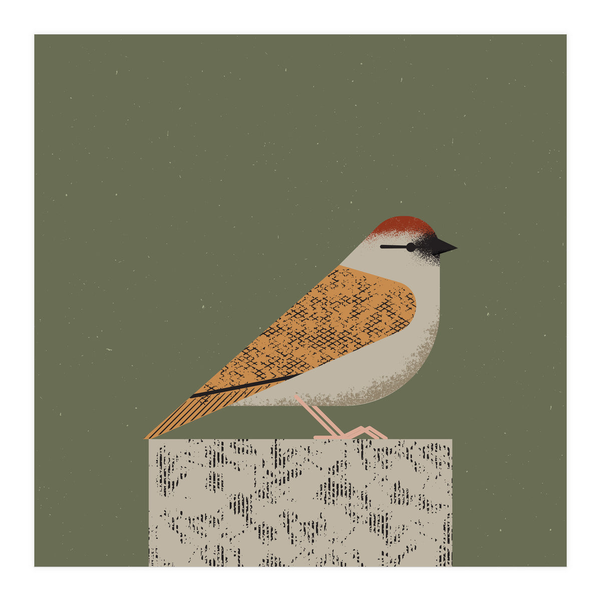 Sparrow  (Print Only)