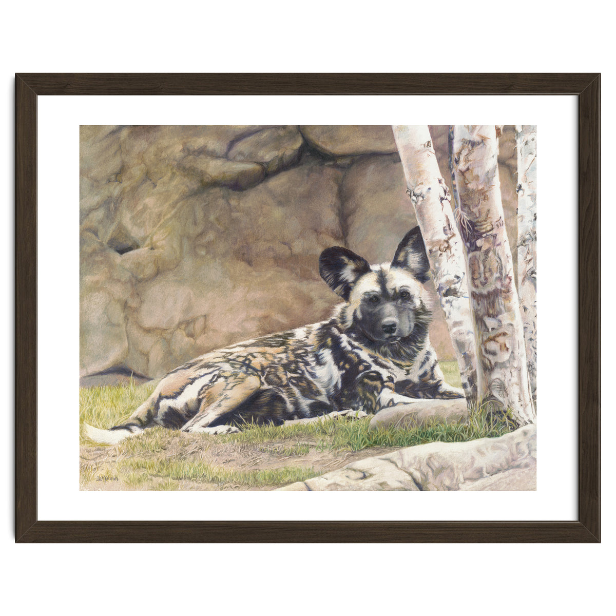 Afican Painted Dog IV - Imara