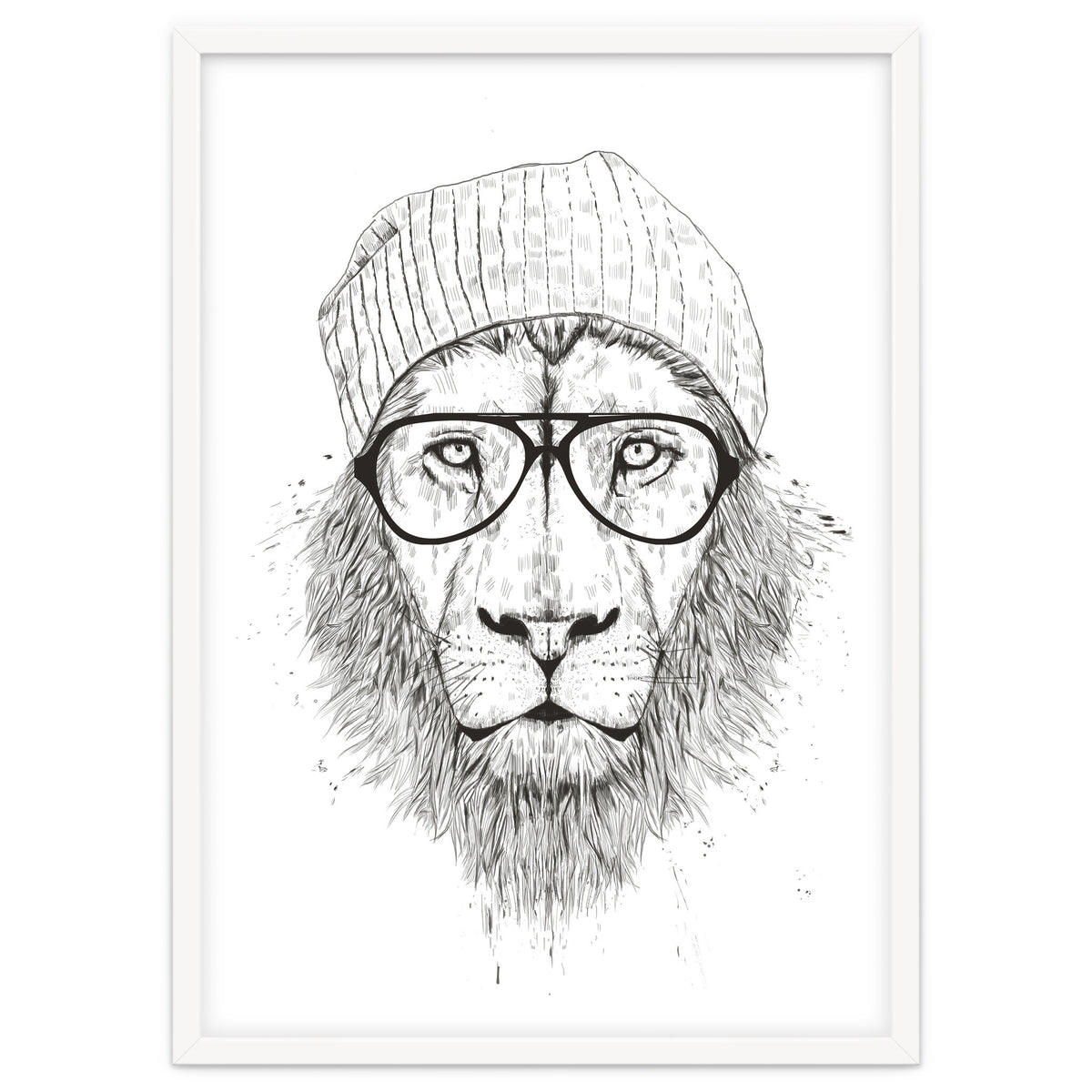 Cool Lion Bw