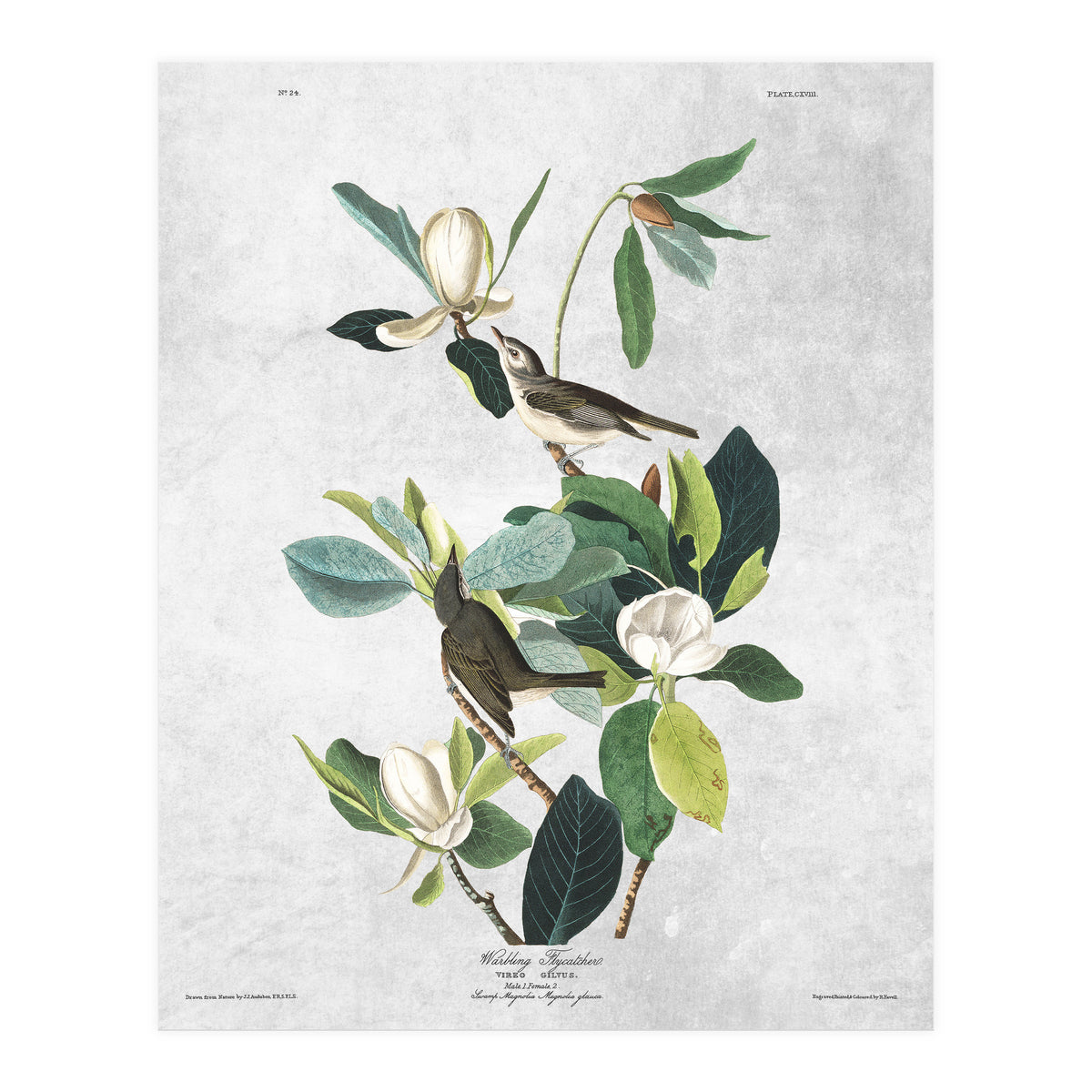 fiori e uccelli (Print Only)