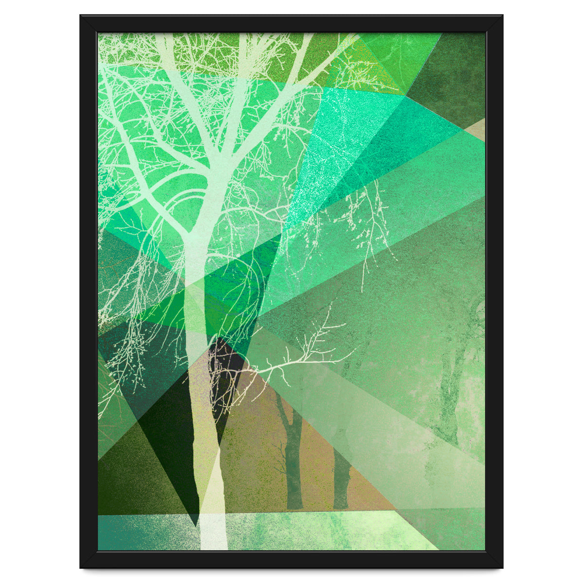 P22 B Trees And Triangles