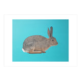 Rabbit (Print Only) thumbnail
