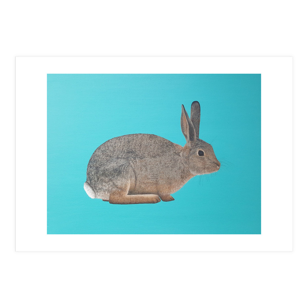 Rabbit (Print Only)