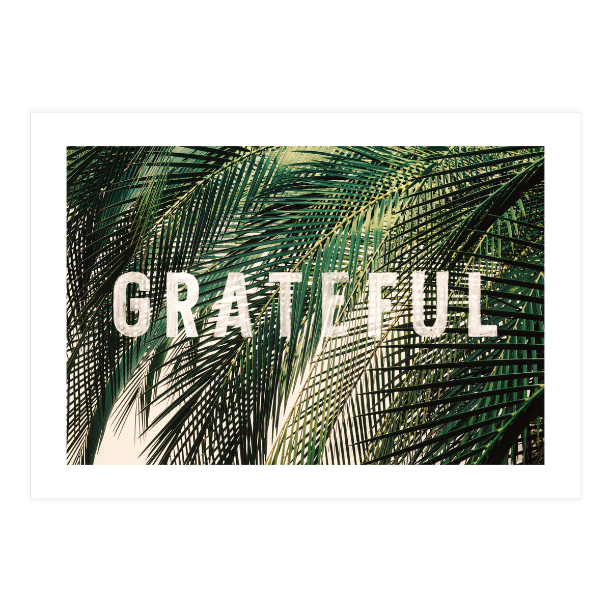 Grateful  (Print Only)