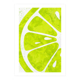 Citrus Collection No2 (Print Only) thumbnail