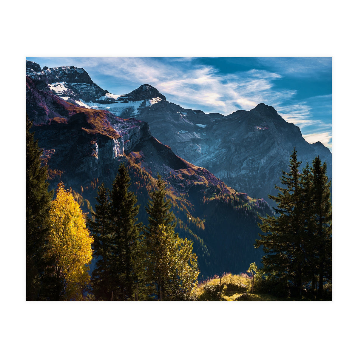 Nature SPIRIT (Print Only)