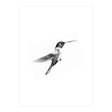 22 (Print Only) thumbnail