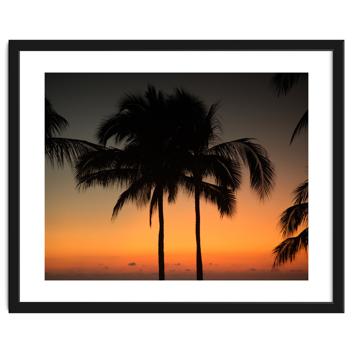 Mexico, November nights