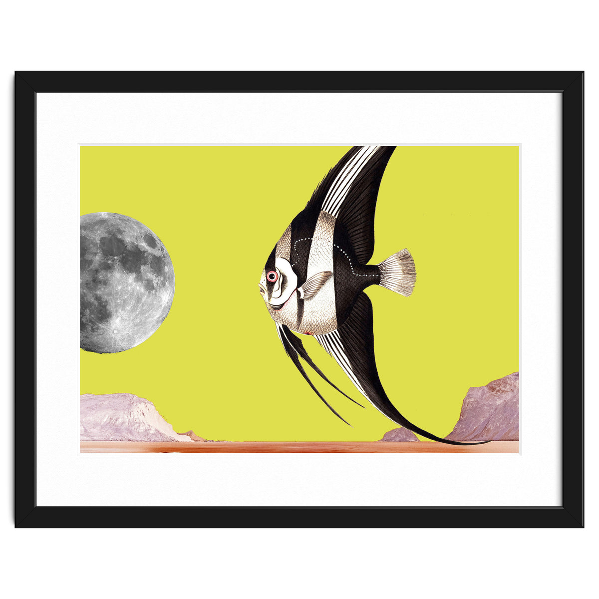 Plenty of fish in the sea yellow