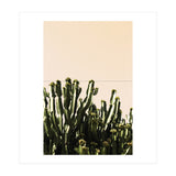 Cactus Vertical Color (Print Only) thumbnail