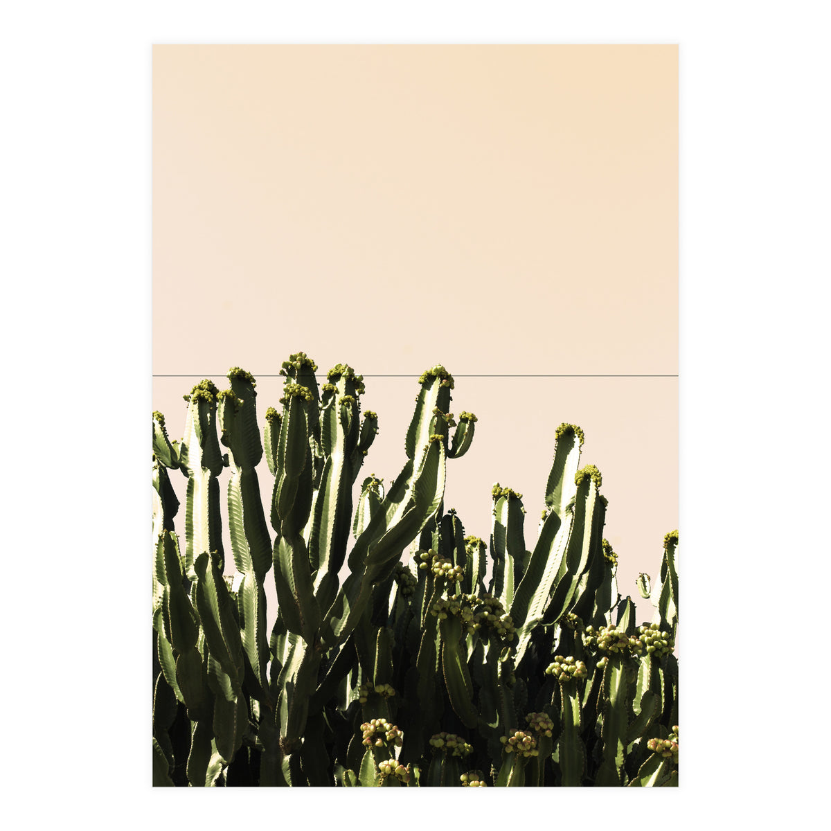 Cactus Vertical Color (Print Only)