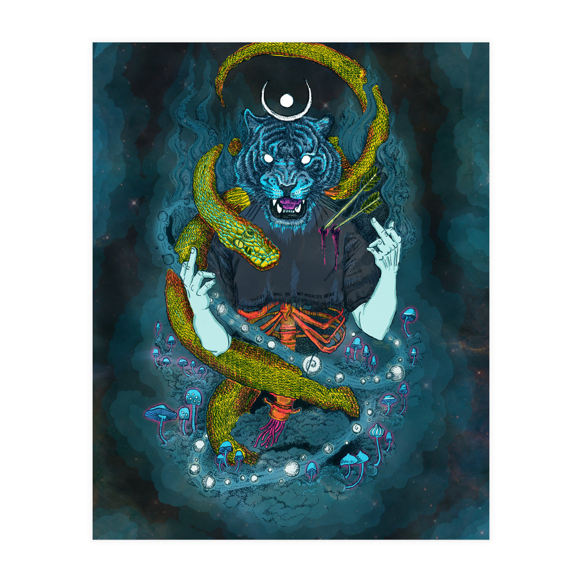 No Miracles  (Print Only)