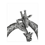 Giraffe Family (Print Only) thumbnail