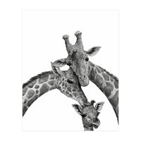 Giraffe Family (Print Only)