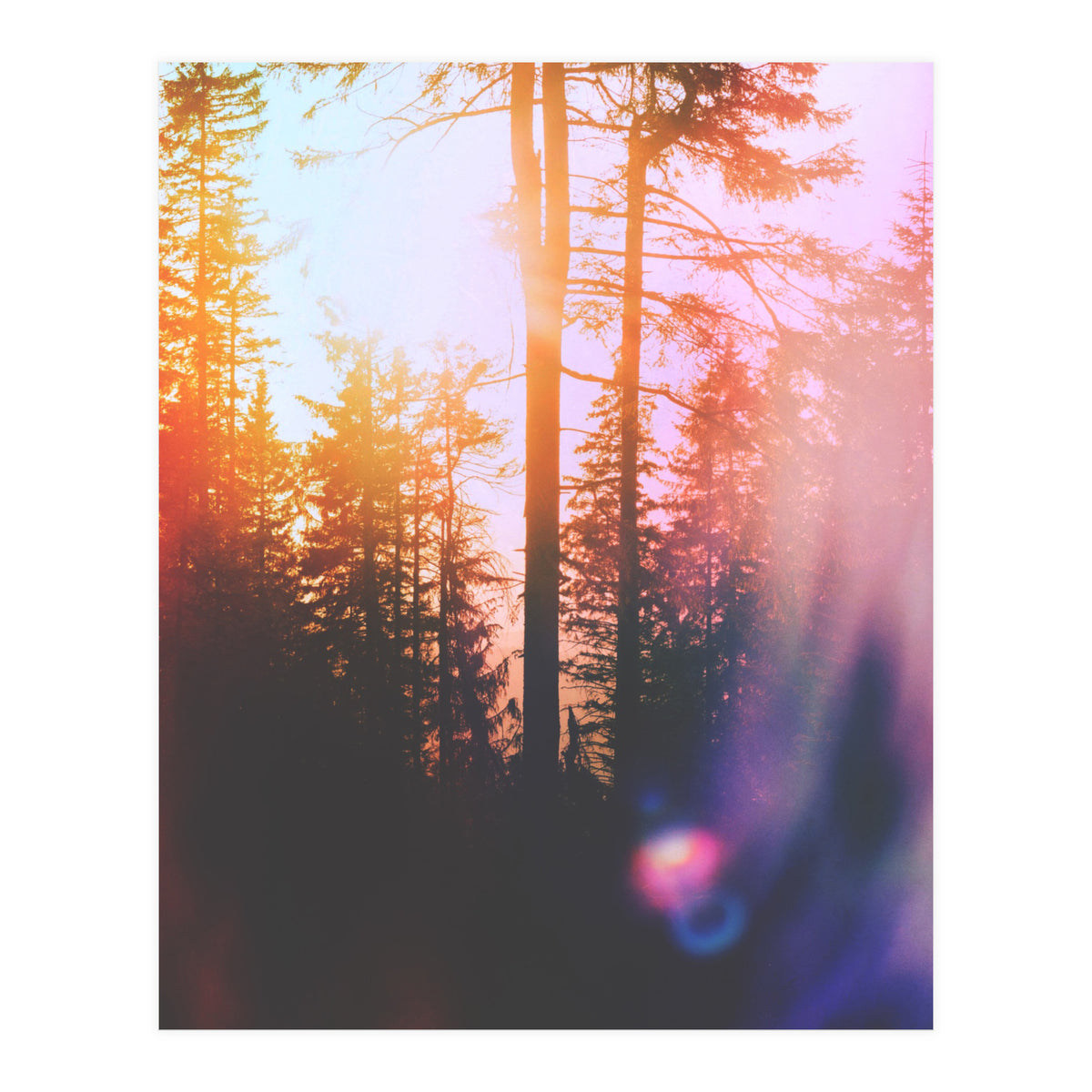 Finding Light (Print Only)