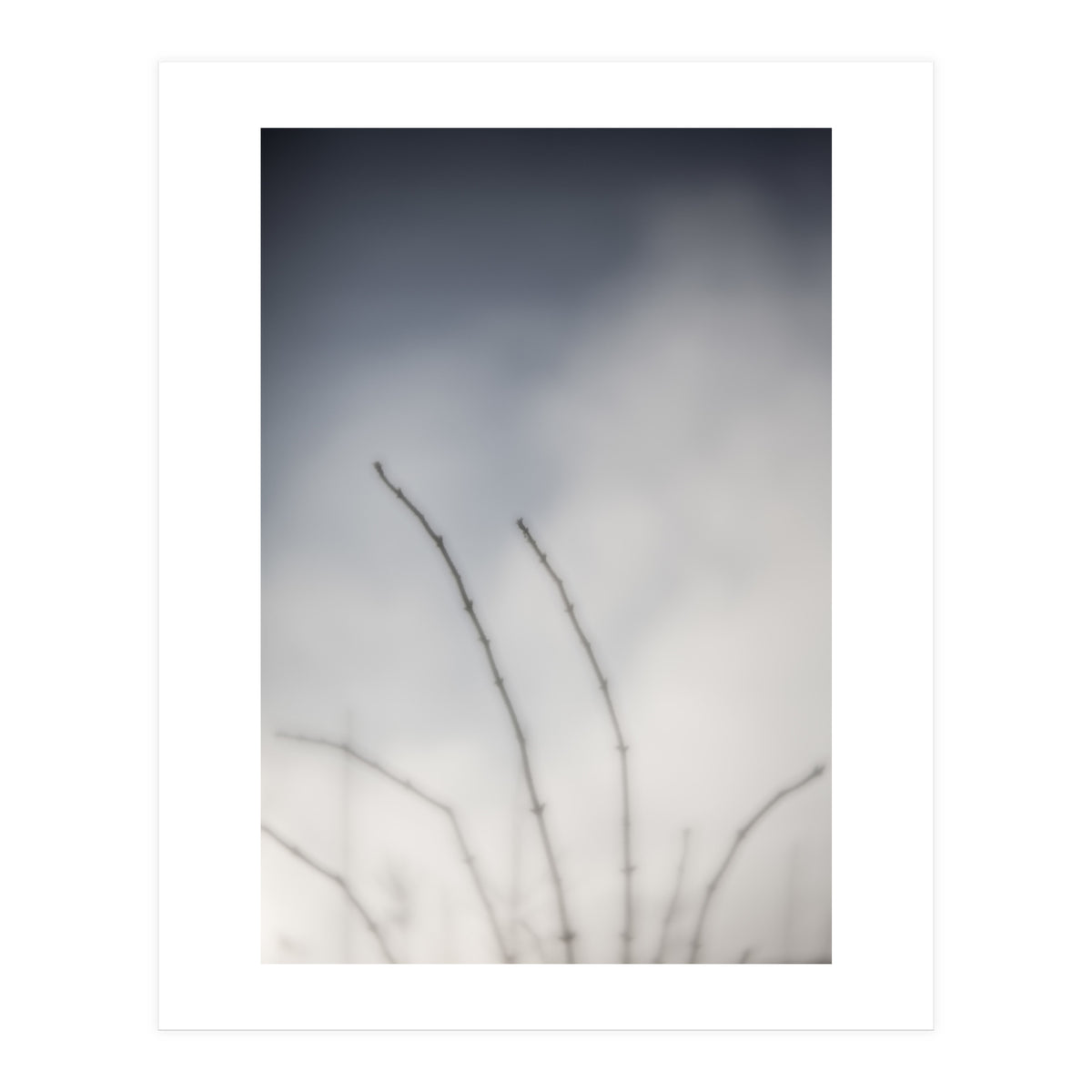 Forgotten Memories of summer #18 (Print Only)