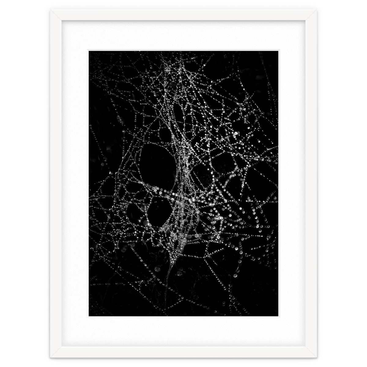 Spiderweb No 4