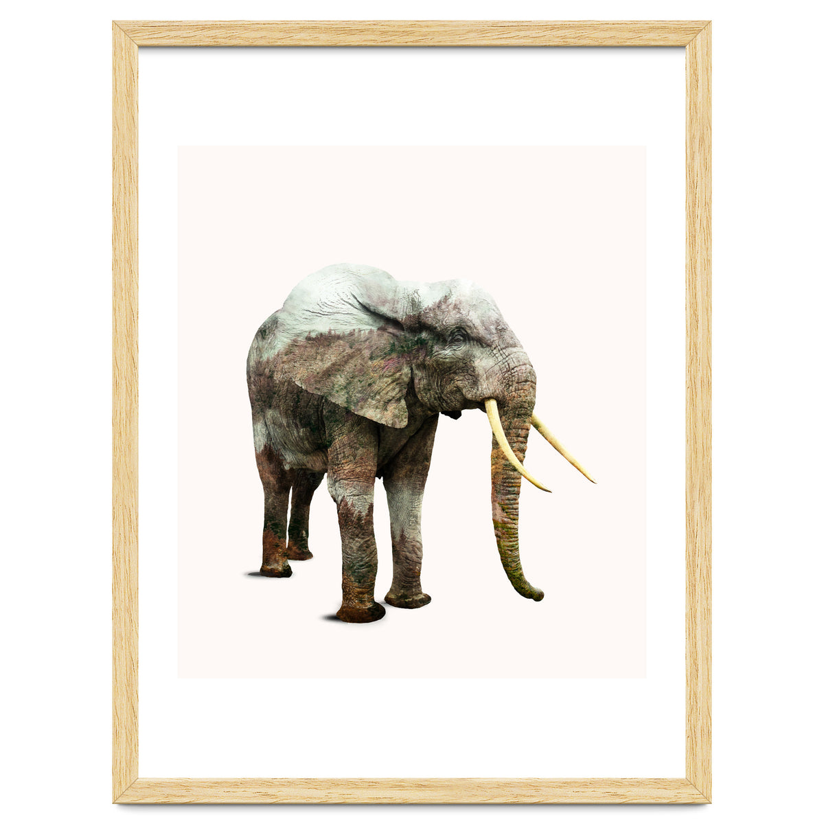 Elephant Transformation