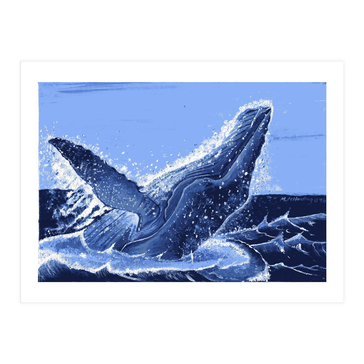 Humpback Whale Breaching  (Print Only)
