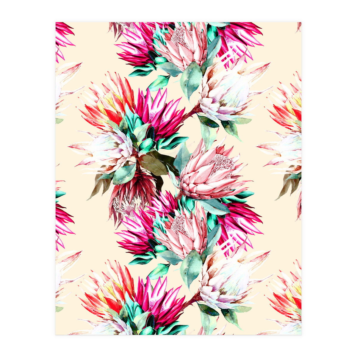 King proteas bloom II (Print Only)