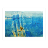 Quinn (Print Only) thumbnail