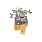 Vintage Camera (Print Only) thumbnail
