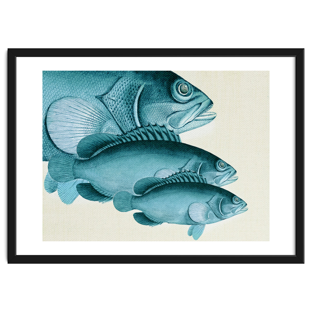 Fish Classic Designs 4