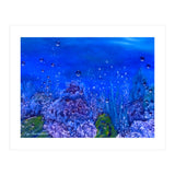Coral Reef (Print Only) thumbnail