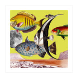 Plenty Of Fish In The Sea Yellow (Print Only) thumbnail