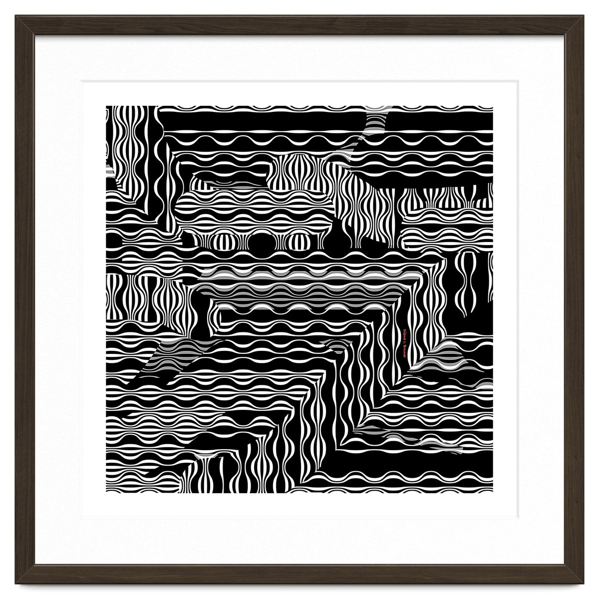 BLACK AND WHITE EXOTIC