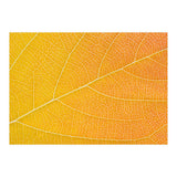 Autumn Leaf (Print Only) thumbnail