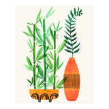 Bamboo And Fern (Print Only) thumbnail