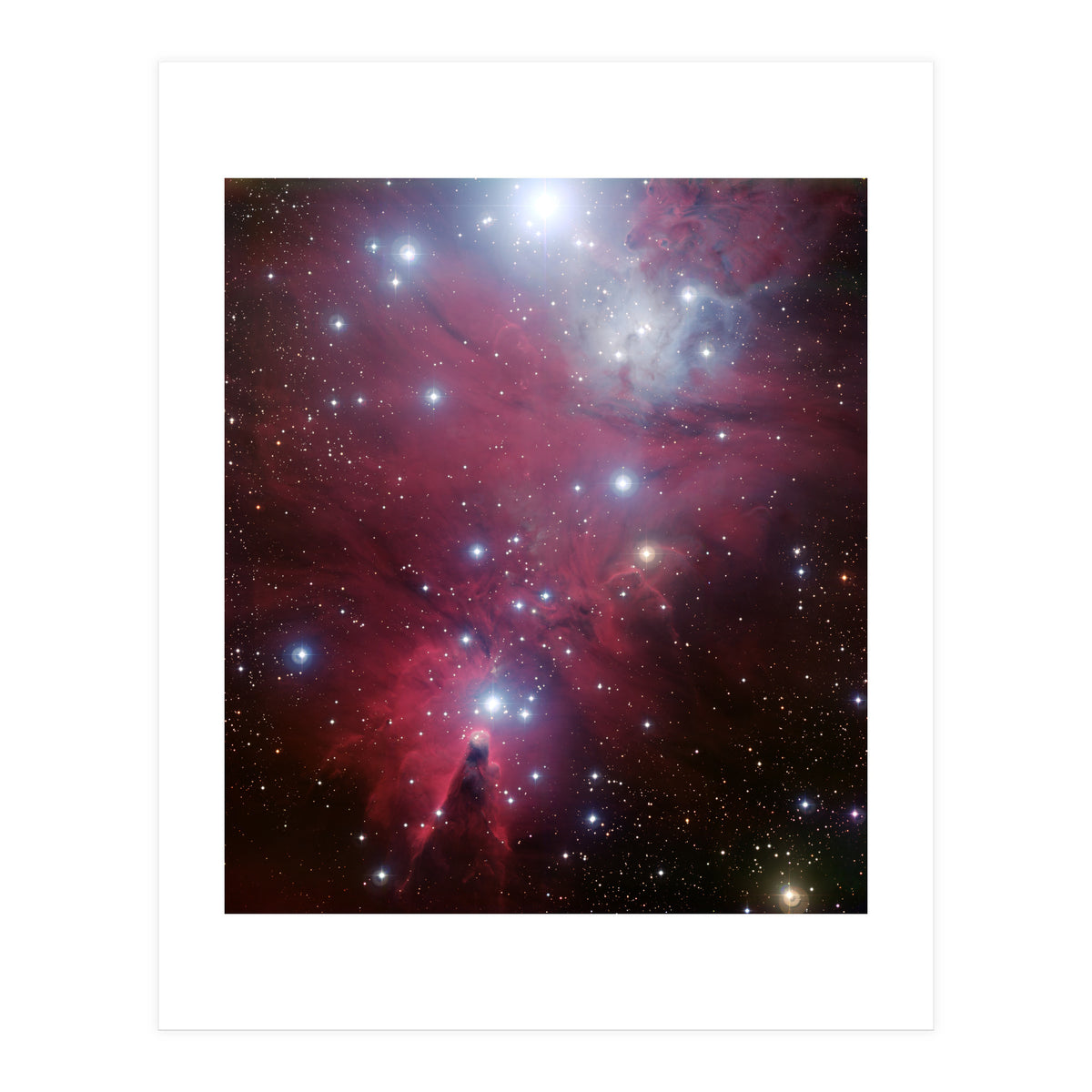 The Christmas Tree Cluster (Print Only)