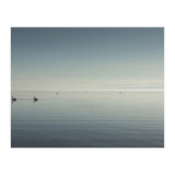 The Salton Sea (Print Only) thumbnail