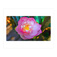 Lotus Flower (Print Only)